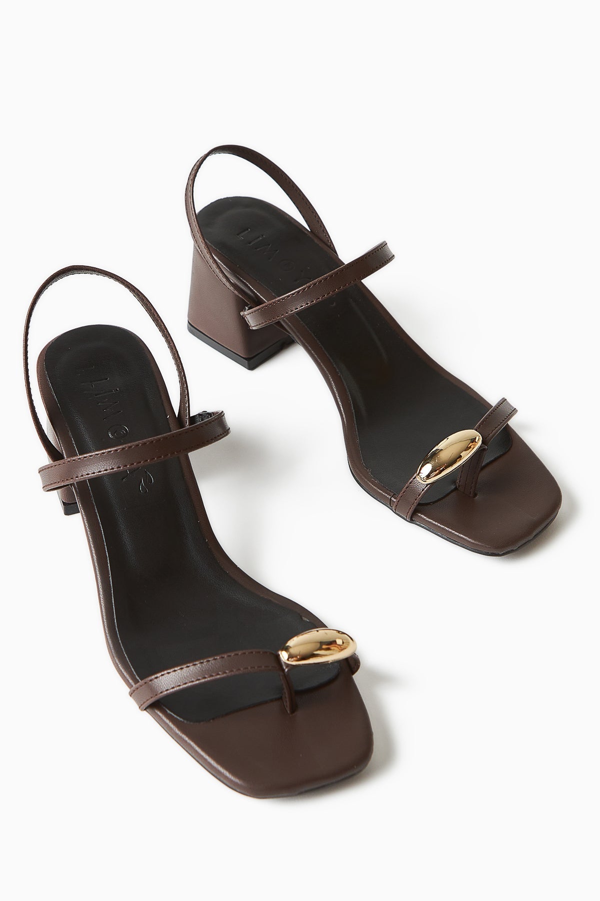 Selenya Coffee Thong Sandals with Buckle Detail for Women