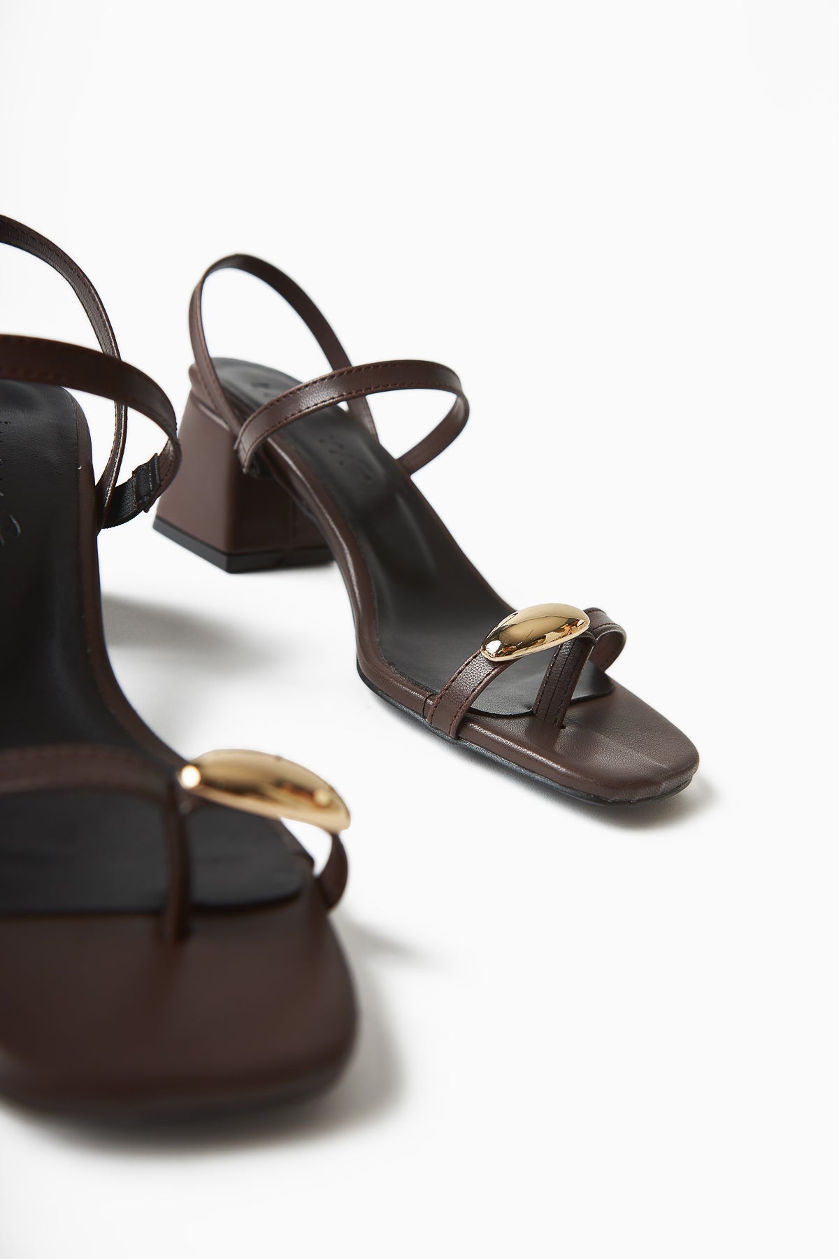 Selenya Coffee Thong Sandals with Buckle Detail for Women