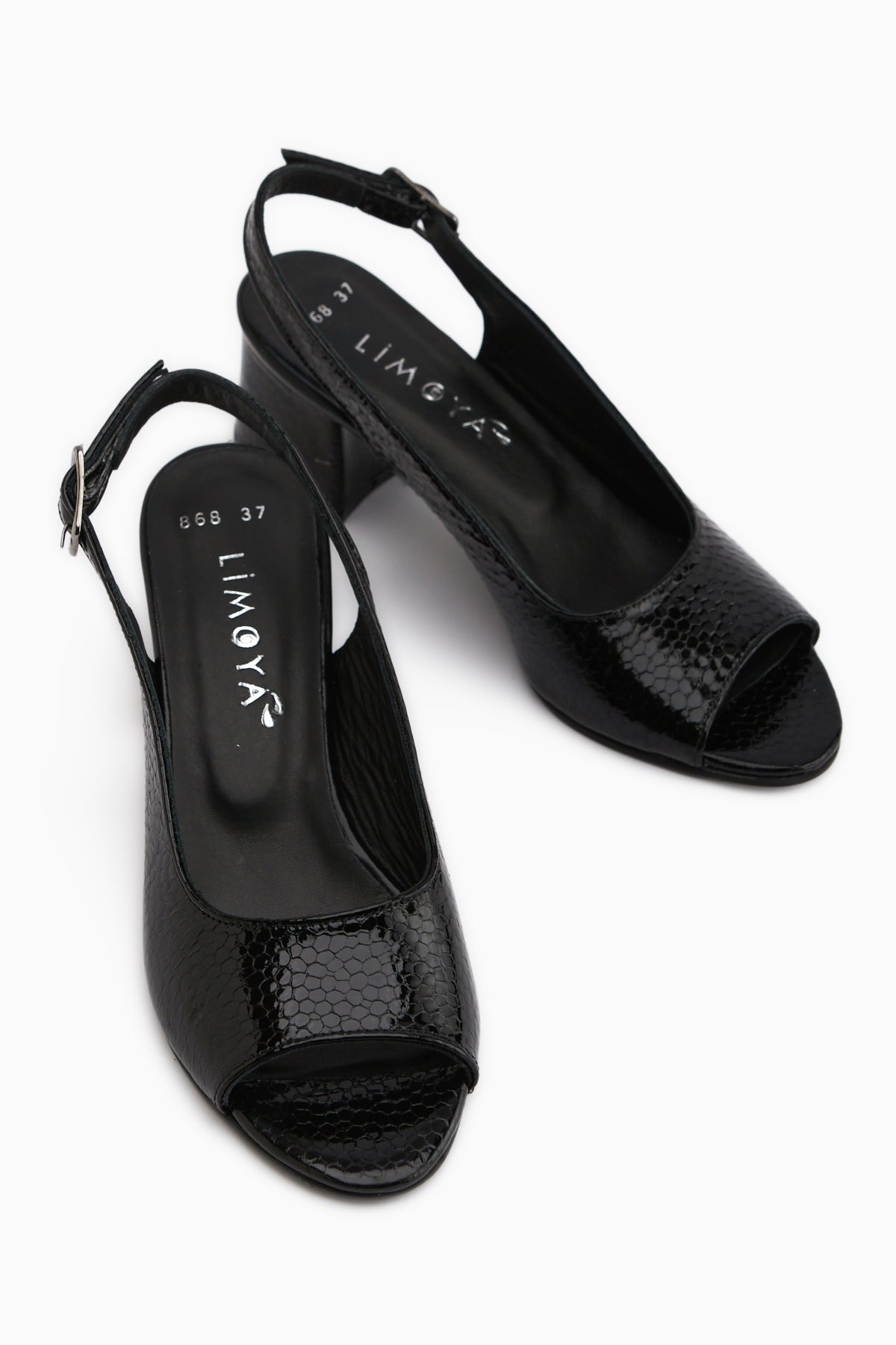 Catia Genuine Leather Black Snake Pattern Women’s Sandal