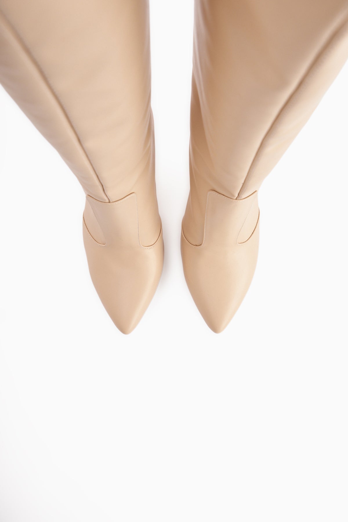 Lucine Nud Pointed Toe Slim Heeled Ankle Boots