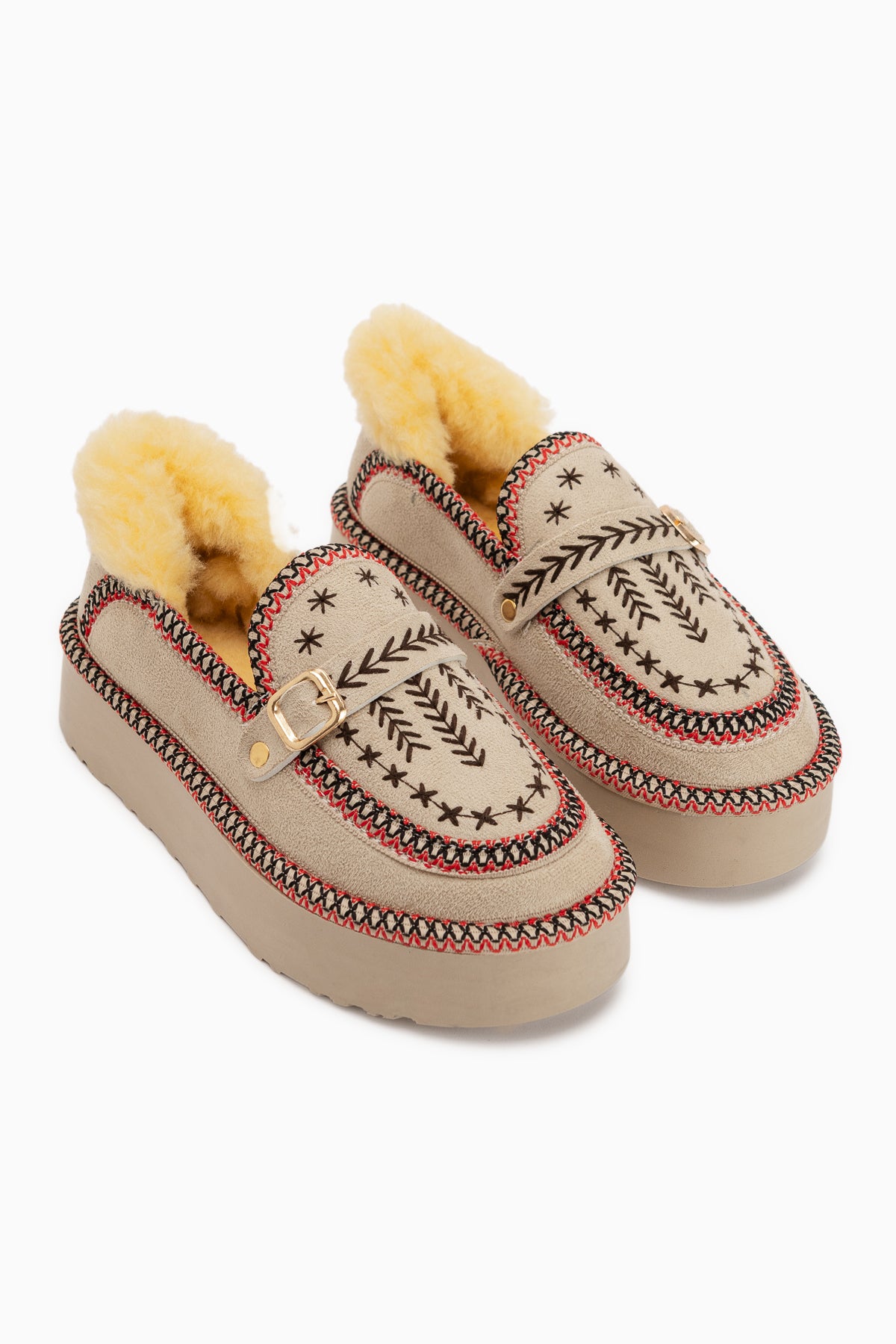 Lexi Ten Suede Embroidered Buckled Fur Women’s Shoes