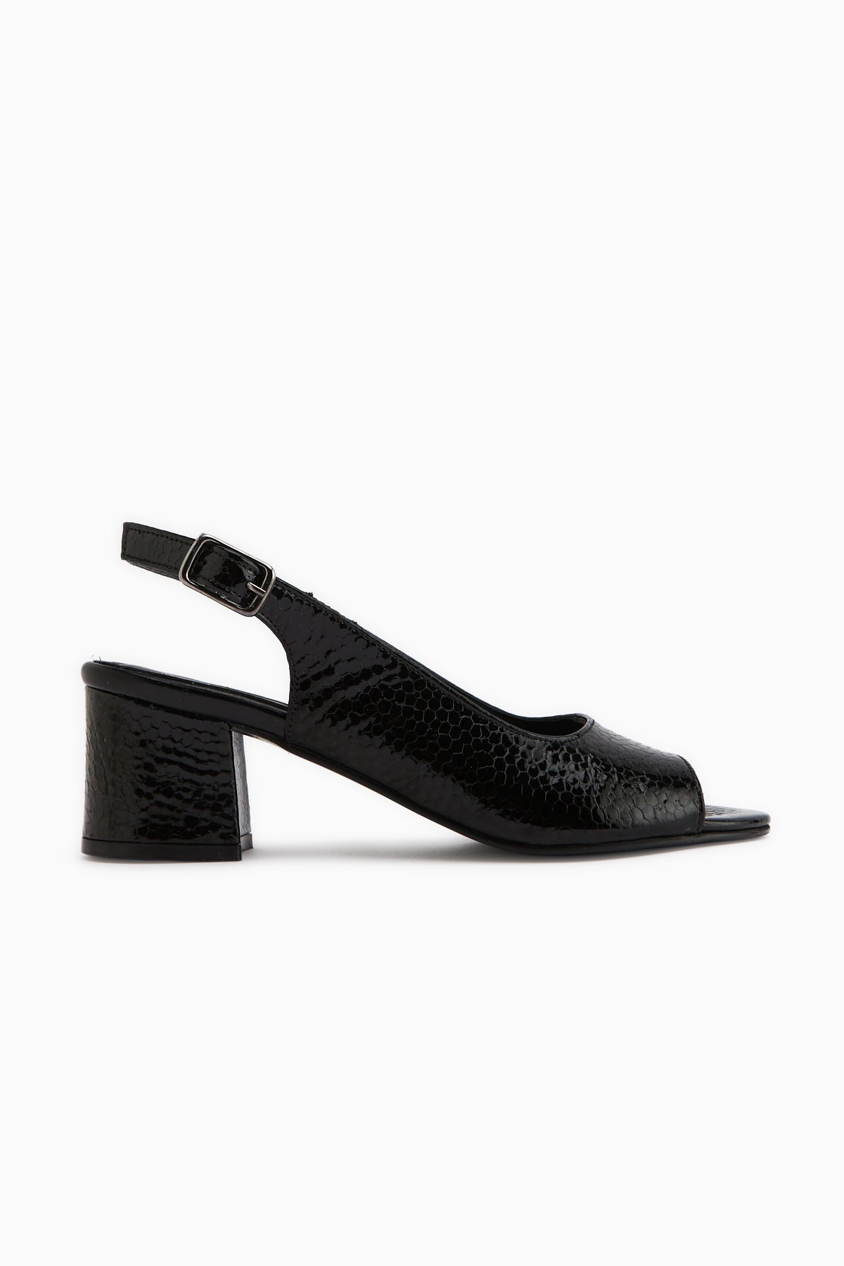 Catia Genuine Leather Black Snake Pattern Women’s Sandal