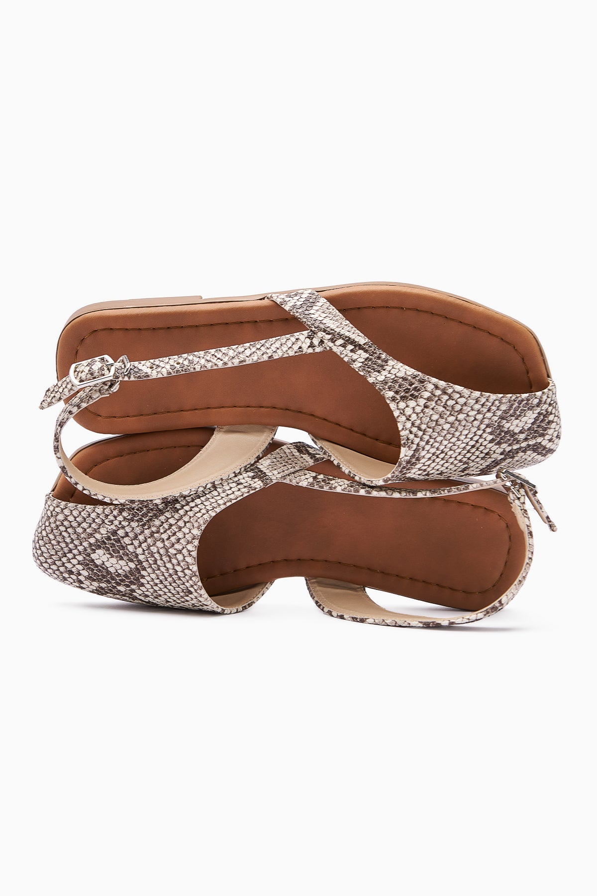 Agnez Snake Pattern Belt Detailed Women's Sandals