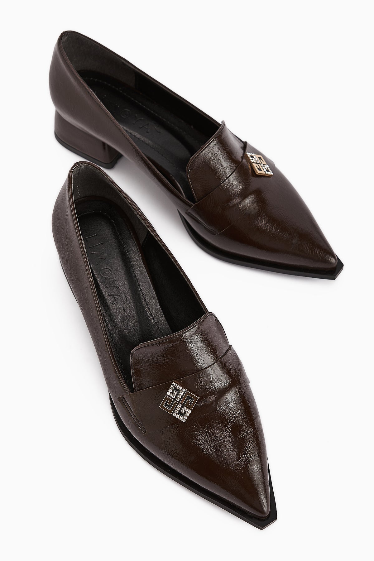 Jaklin Brown Pointed Toe Low Heeled Women's Shoes