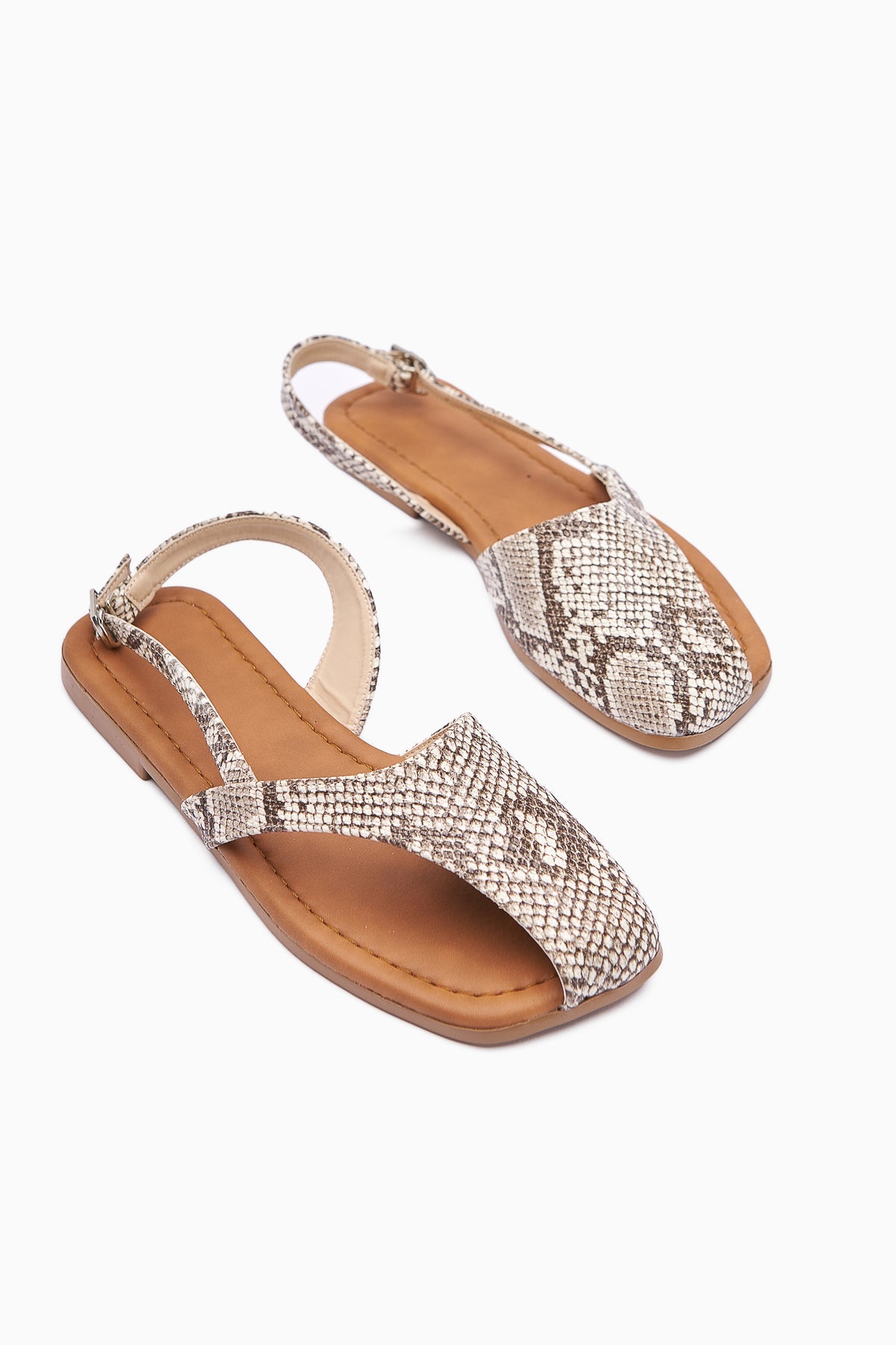 Agnez Snake Pattern Belt Detailed Women's Sandals